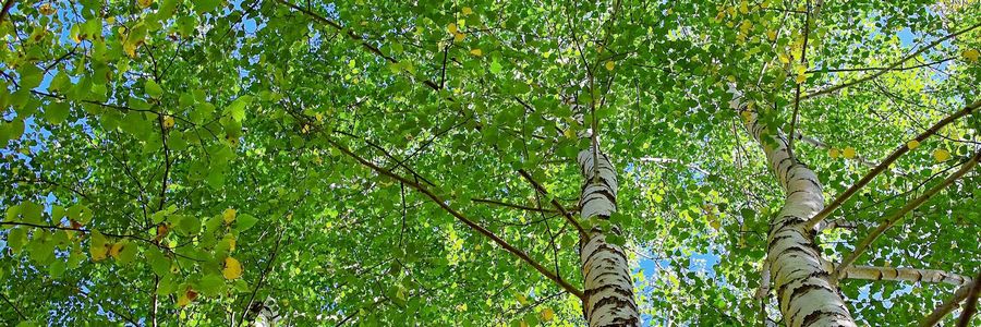 名古屋大学医学部附属病院　総合診療科